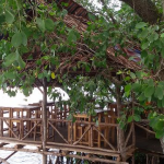 Taman Wisata Mangrove Bhadrika Yang Wajib Anda Kunjungi