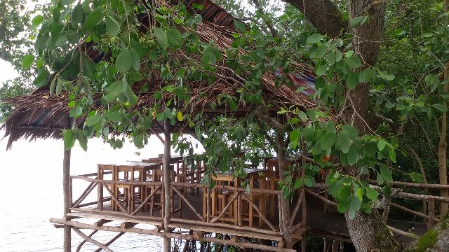 Taman Wisata Mangrove Bhadrika Yang Wajib Anda Kunjungi